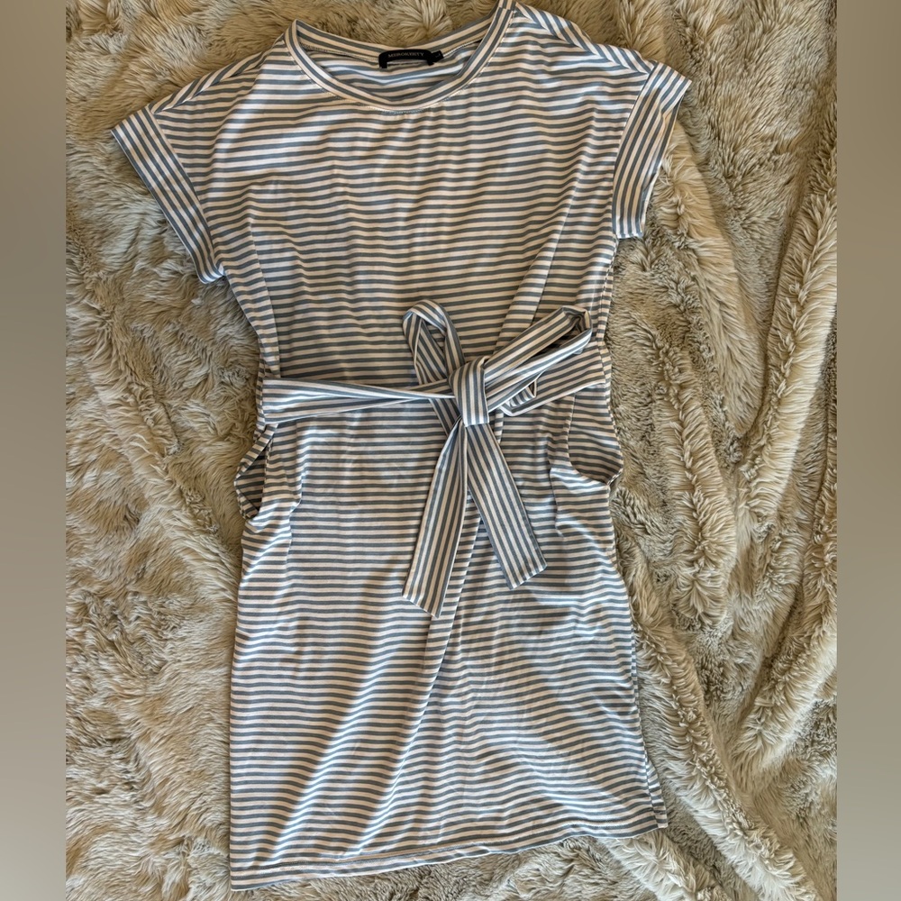 Striped Blue and White Belted Dress